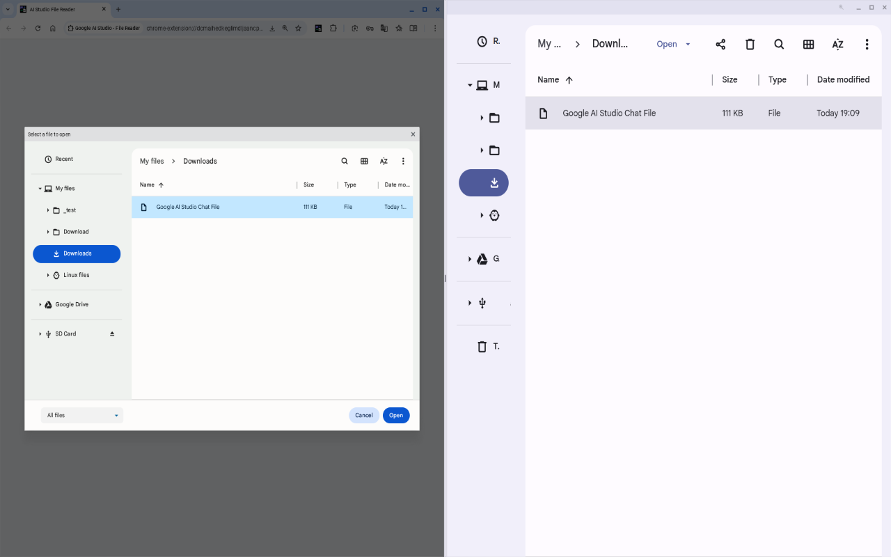 Google AI Studio - File Reader - 截图 3