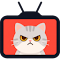 猫猫在看着你