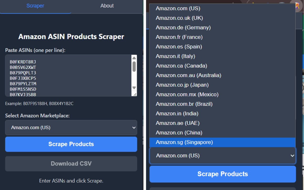 Amazon ASIN Products Scraper - 截图 2
