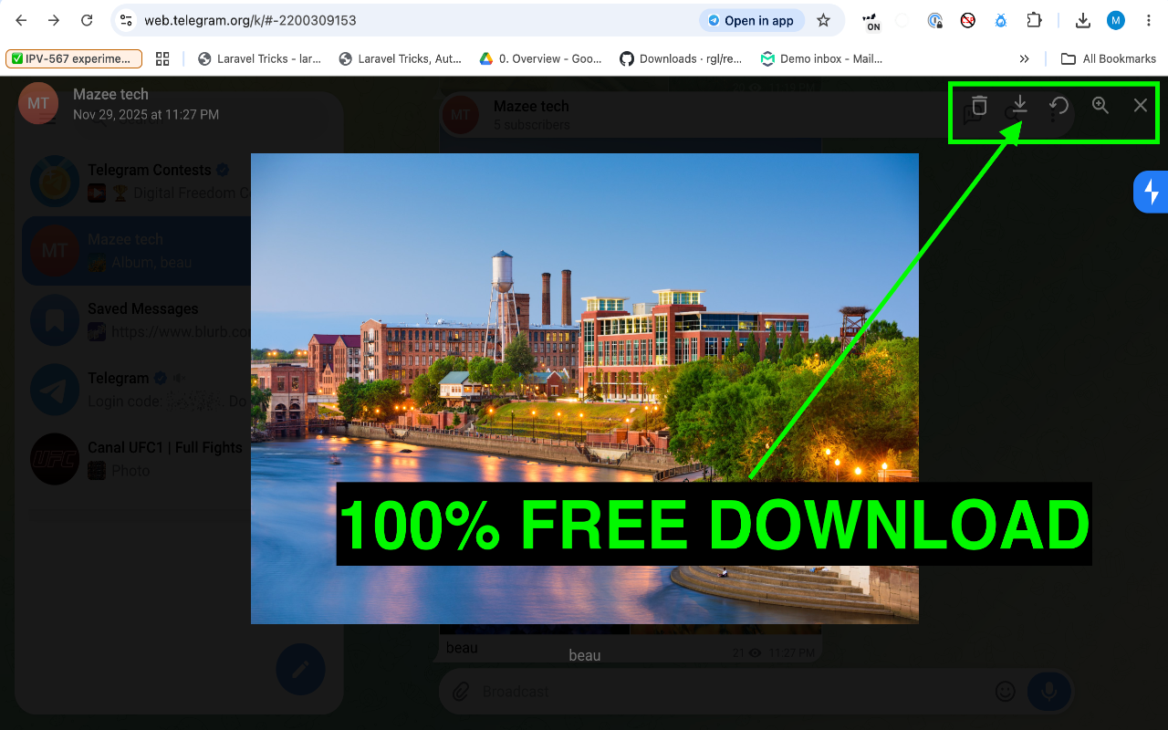 Telegram Video Downloader – 批量下载Telegram视频和媒体 - 截图 1