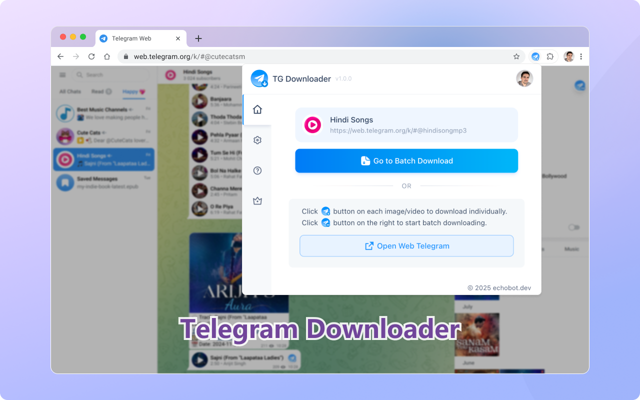 Telegram Downloader - Batch download Telegram images, videos, and audio - 截图 2
