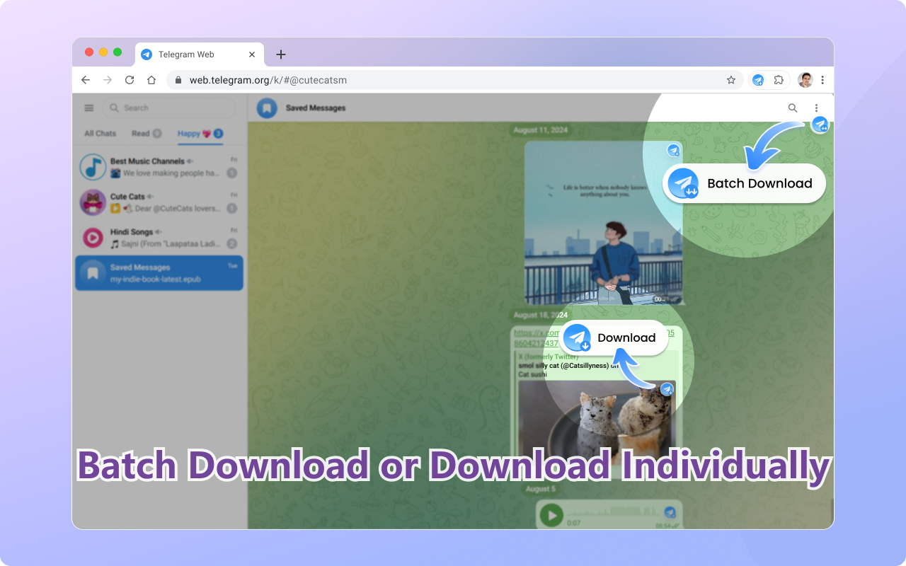 Telegram Downloader - Batch download Telegram images, videos, and audio - 截图 3