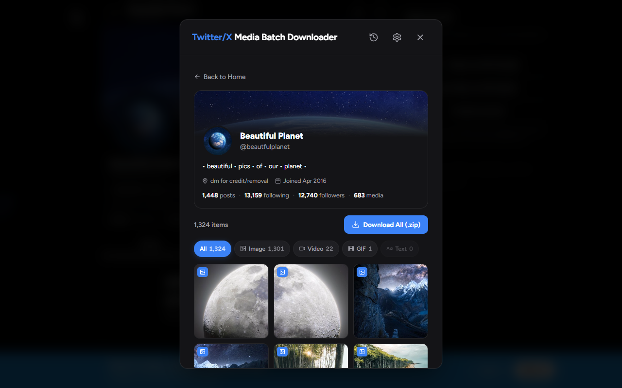 Twitter/X Media Batch Downloader - 截图 5