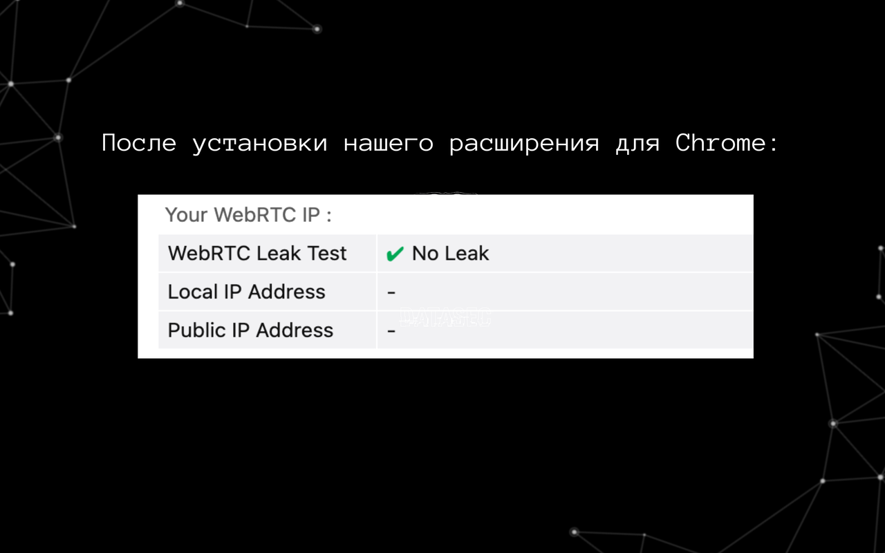 WebRTC Leak Protection - 截图 2