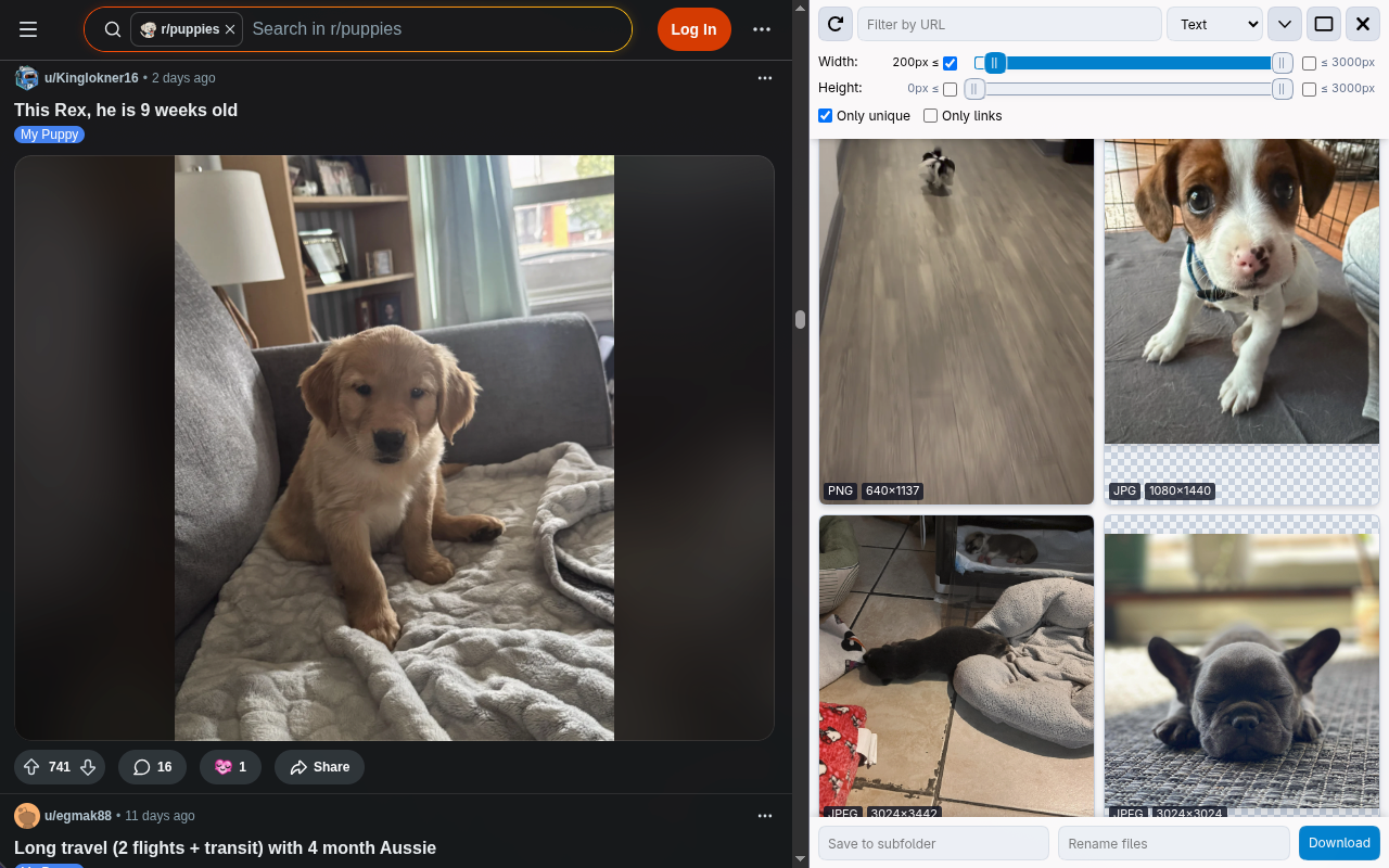 Image Downloader - 截图 2