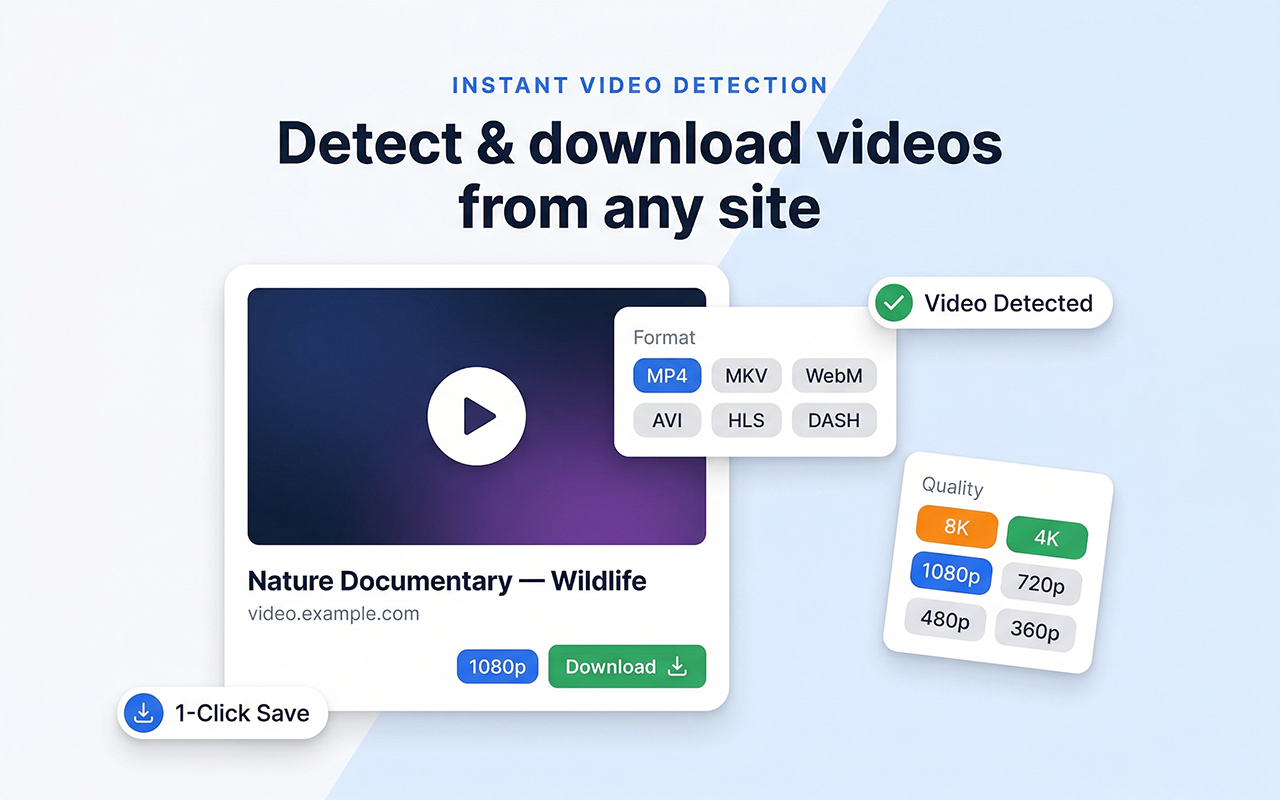 Video Downloader Plus - 截图 1