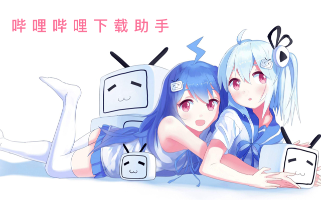 哔哩哔哩下载助手 - 截图 2