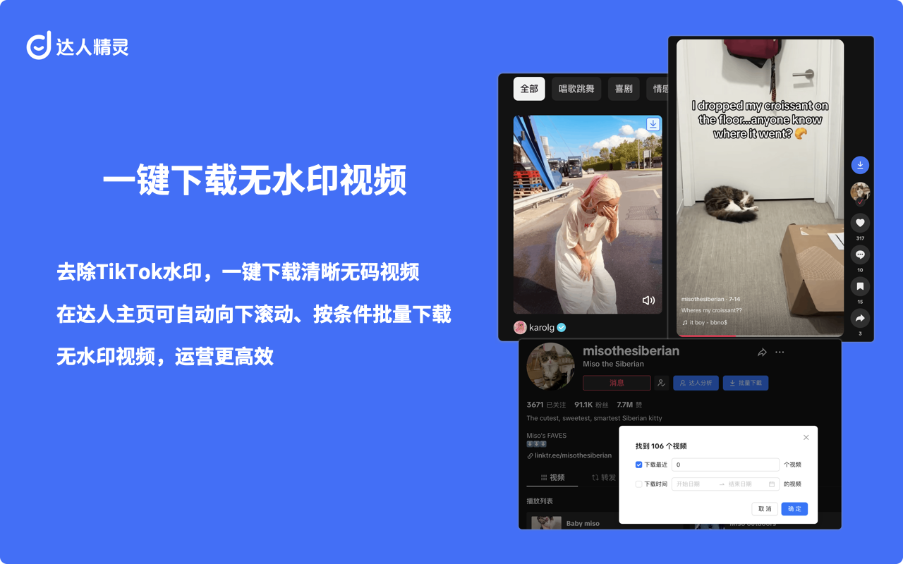 达人精灵 - TikTok视频下载、AI脚本与数据分析 - 截图 4