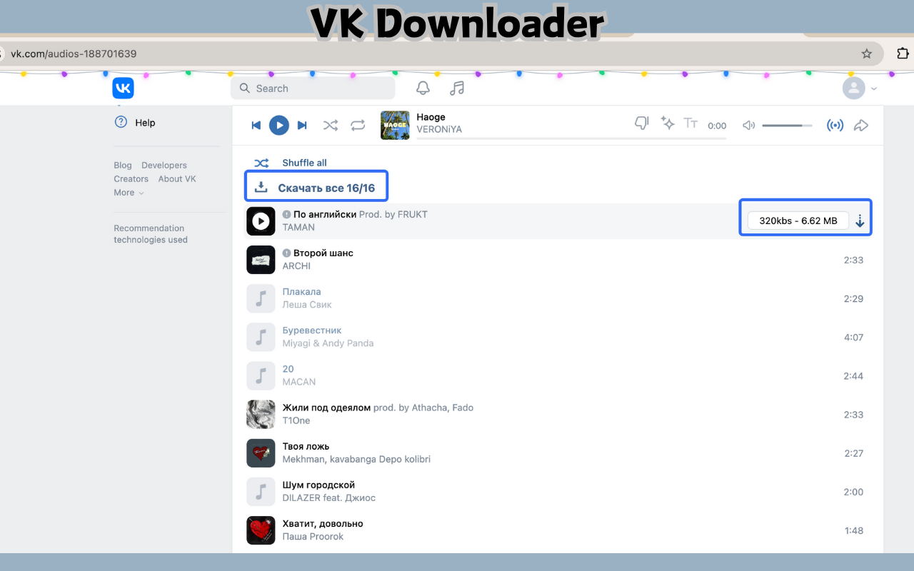 VK视频下载器 - VK & dzen.ru下载器 - 截图 1
