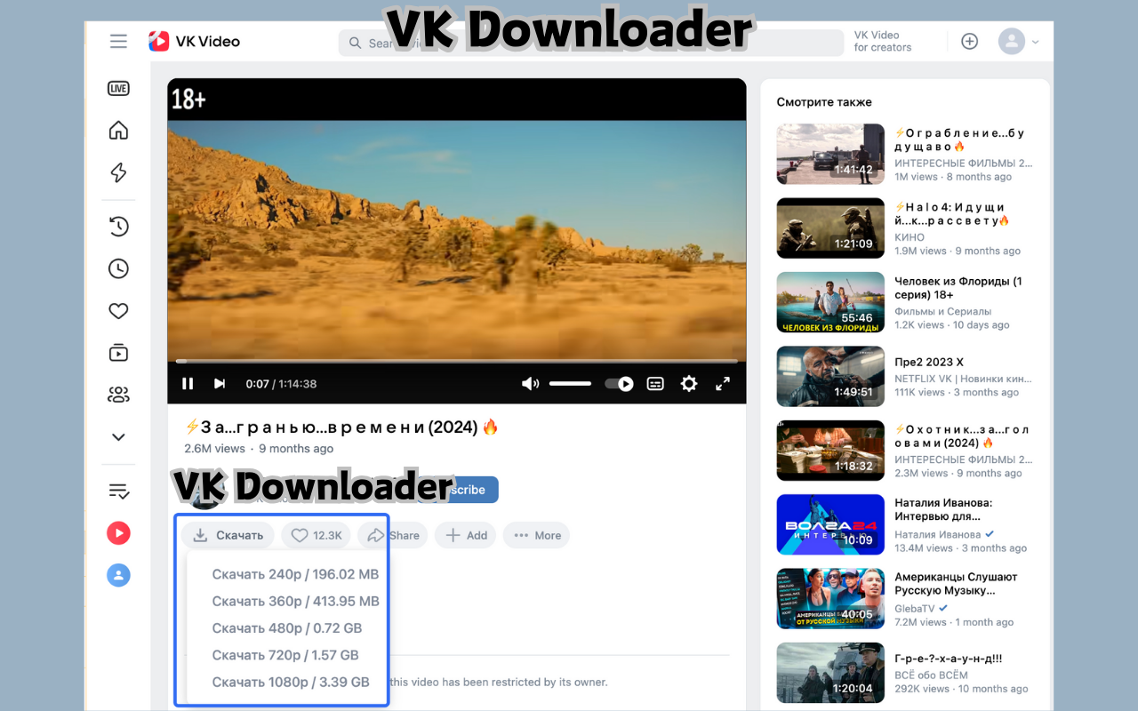 VK视频下载器 - VK & dzen.ru下载器 - 截图 2