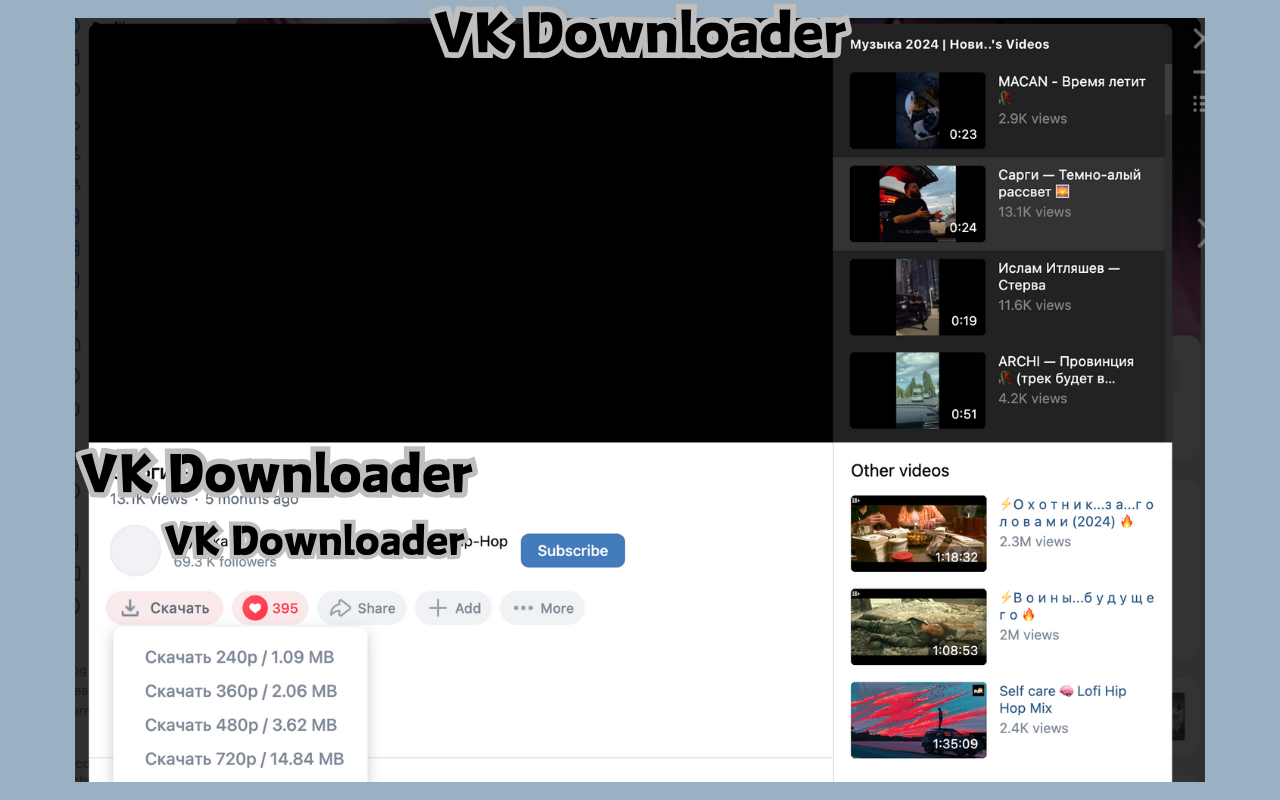 VK视频下载器 - VK & dzen.ru下载器 - 截图 4