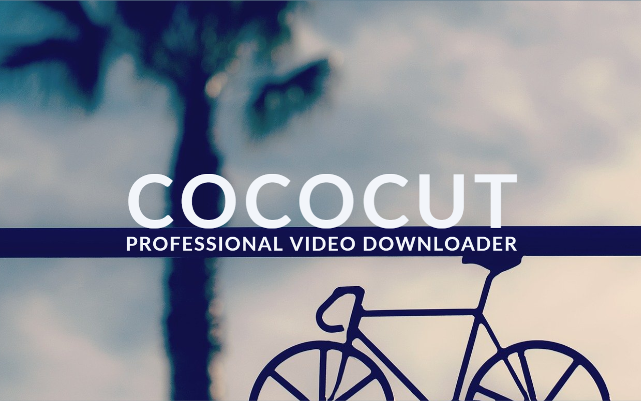 视频下载器 - CocoCut - 截图 2