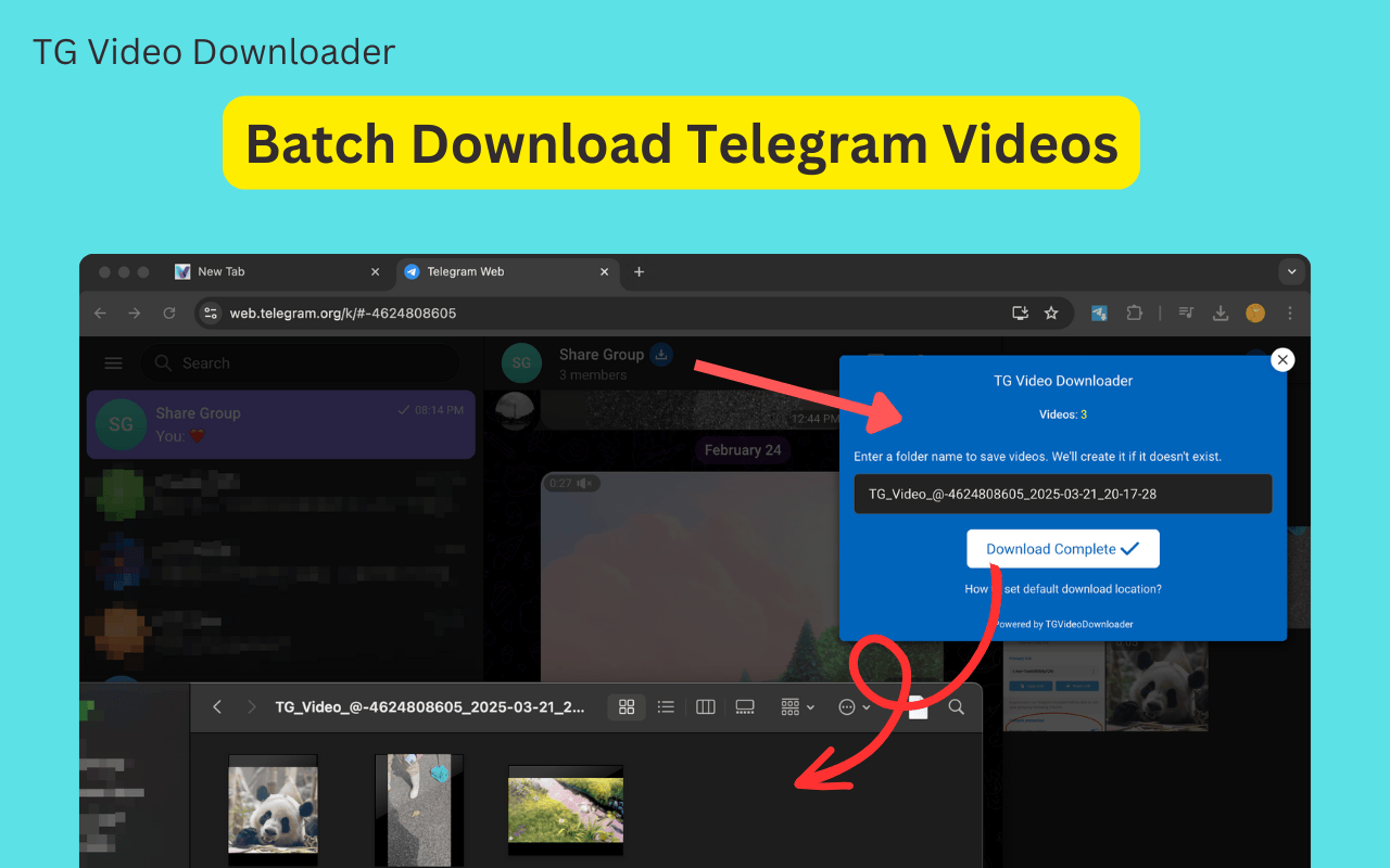 TG视频下载器 - 批量下载Telegram视频 - 截图 2