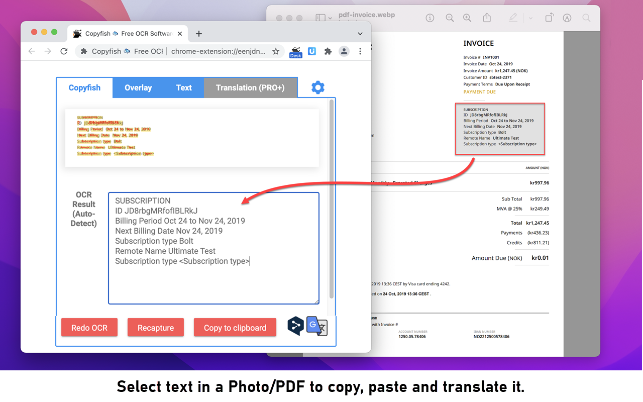 Copyfish 🐟 Free OCR Software - 截图 2