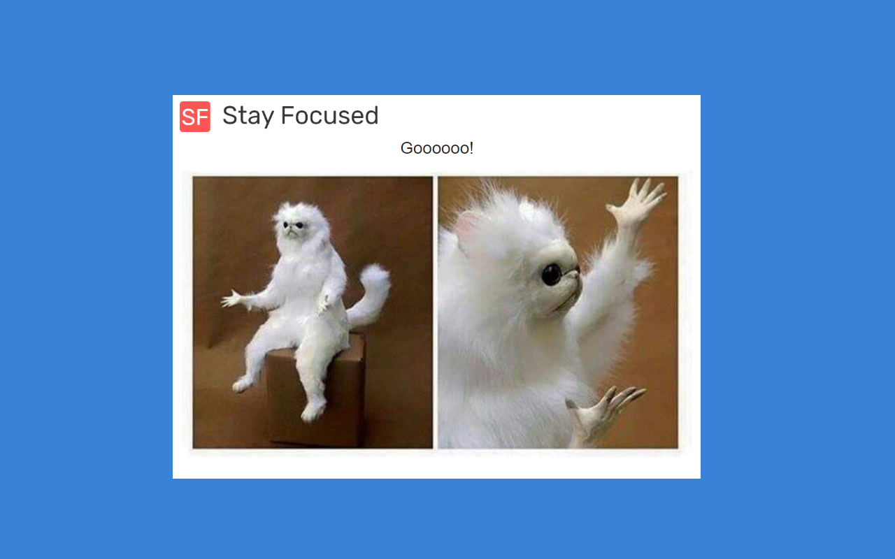 Stay Focused - 截图 3