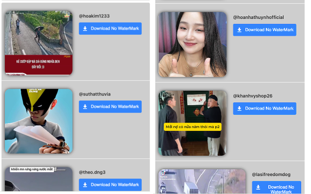 ssstik - Tik Tok Downloader - 截图 2