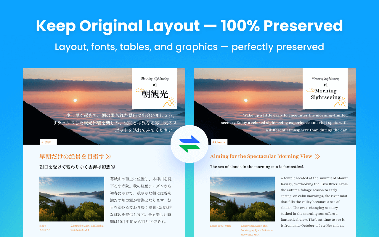 AnyDoc翻译器|免费翻译网站和PDF - 截图 1