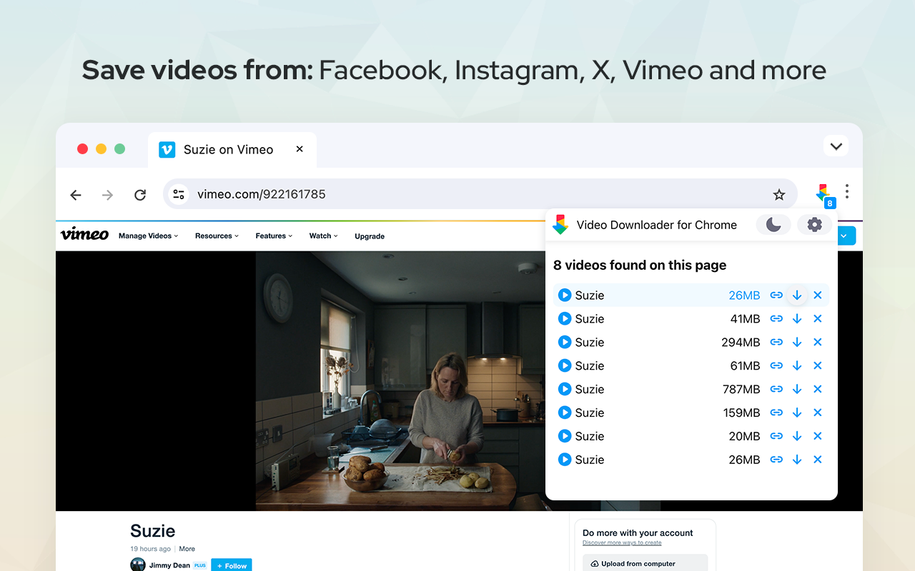 Video Downloader - 截图 1