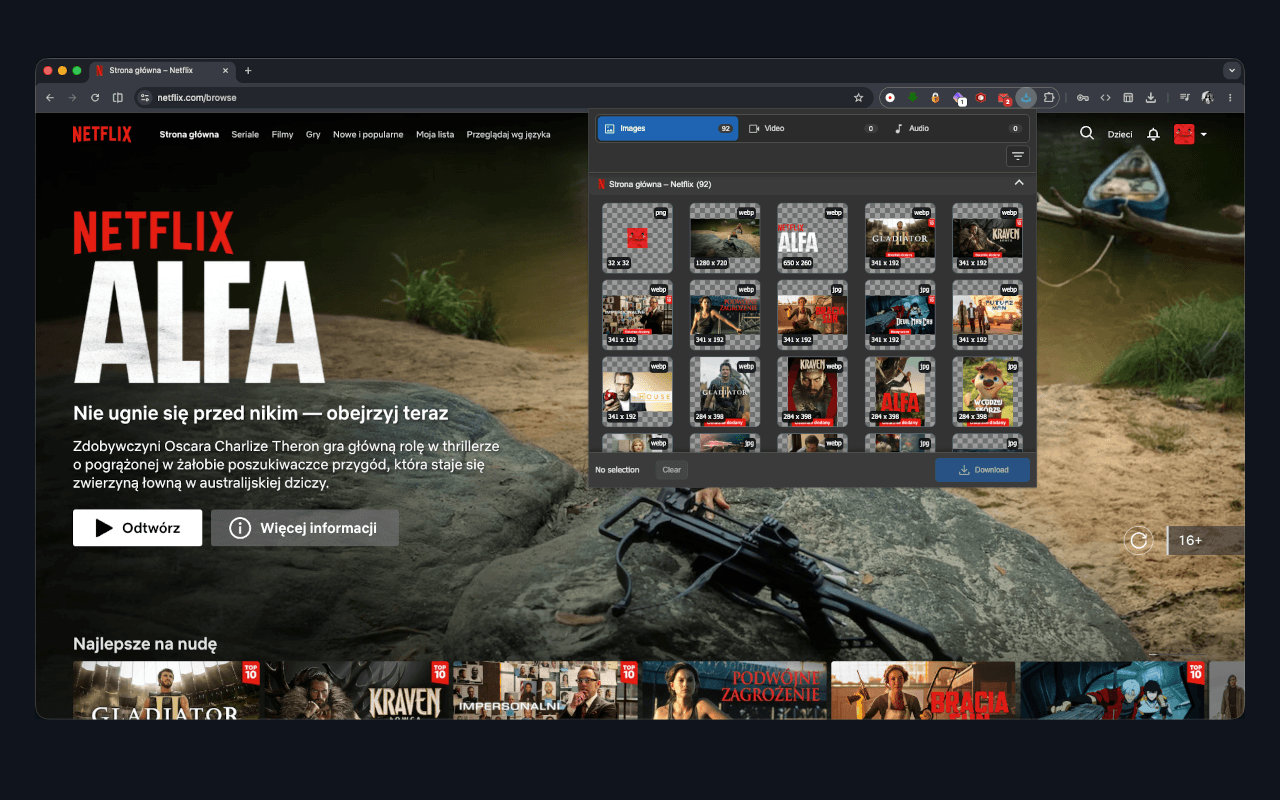 Media Downloader - 截图 2