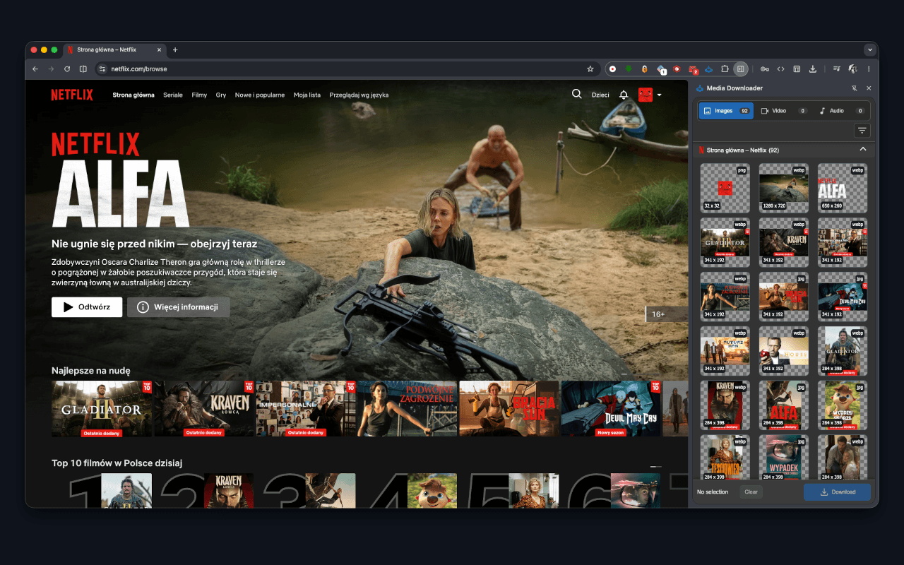 Media Downloader - 截图 3