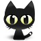 抓猫