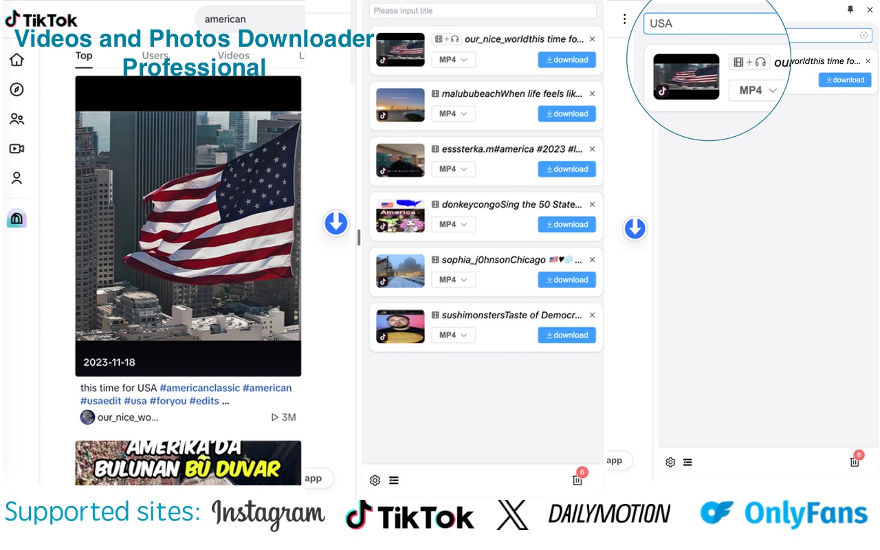智Tool-支持从TikTok、instagram、twitter等平台下载视频 - 截图 4
