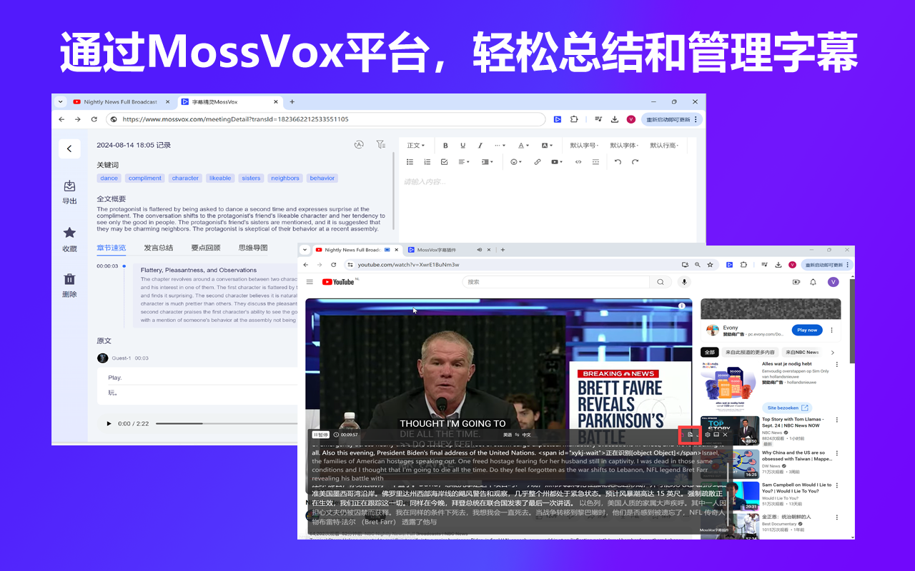 MossVox字幕插件 - 截图 4