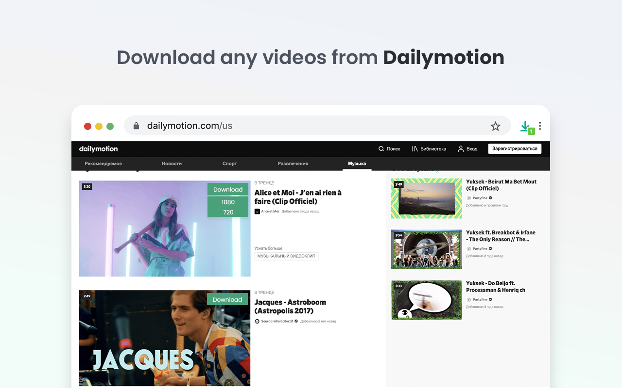 Video Downloader professional - 截图 1