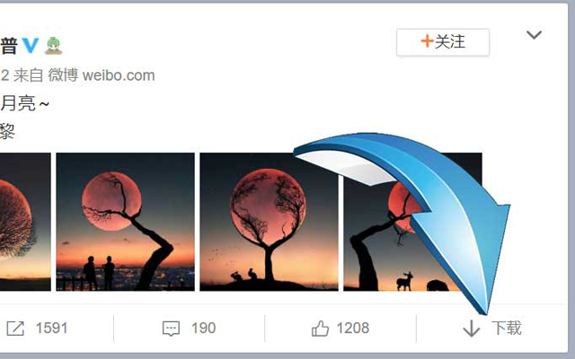笃笃微博抖音下载器 - 截图 5
