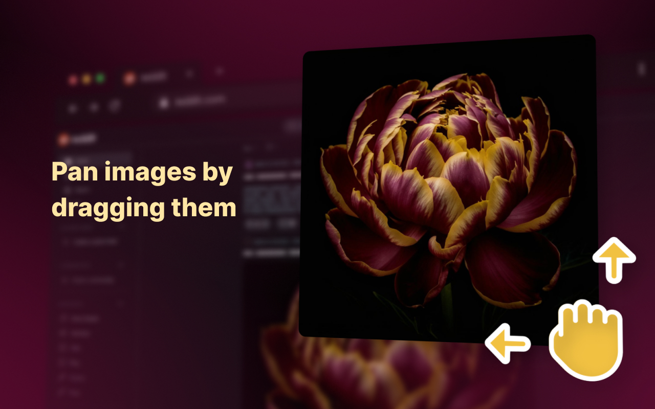 Enhanced Image Viewer - 截图 1