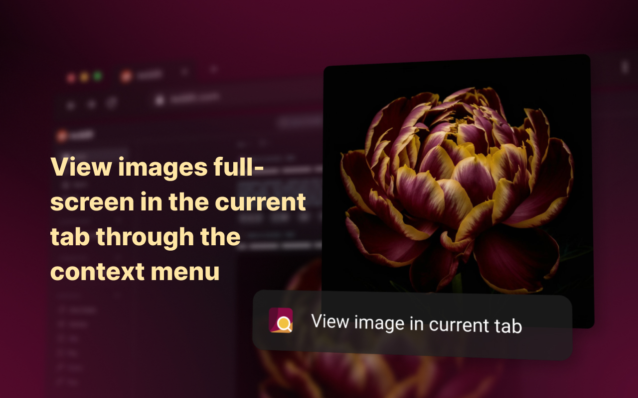 Enhanced Image Viewer - 截图 4