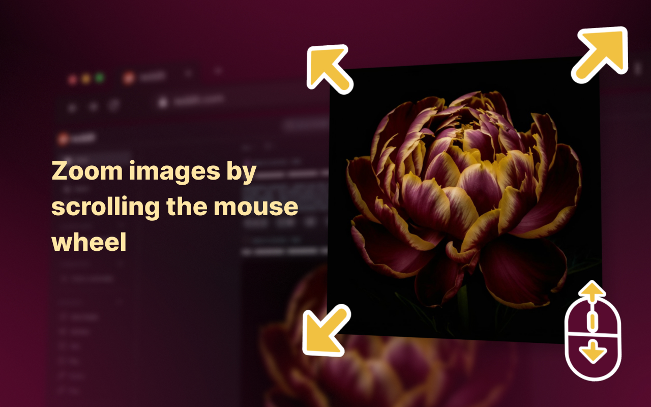 Enhanced Image Viewer - 截图 5