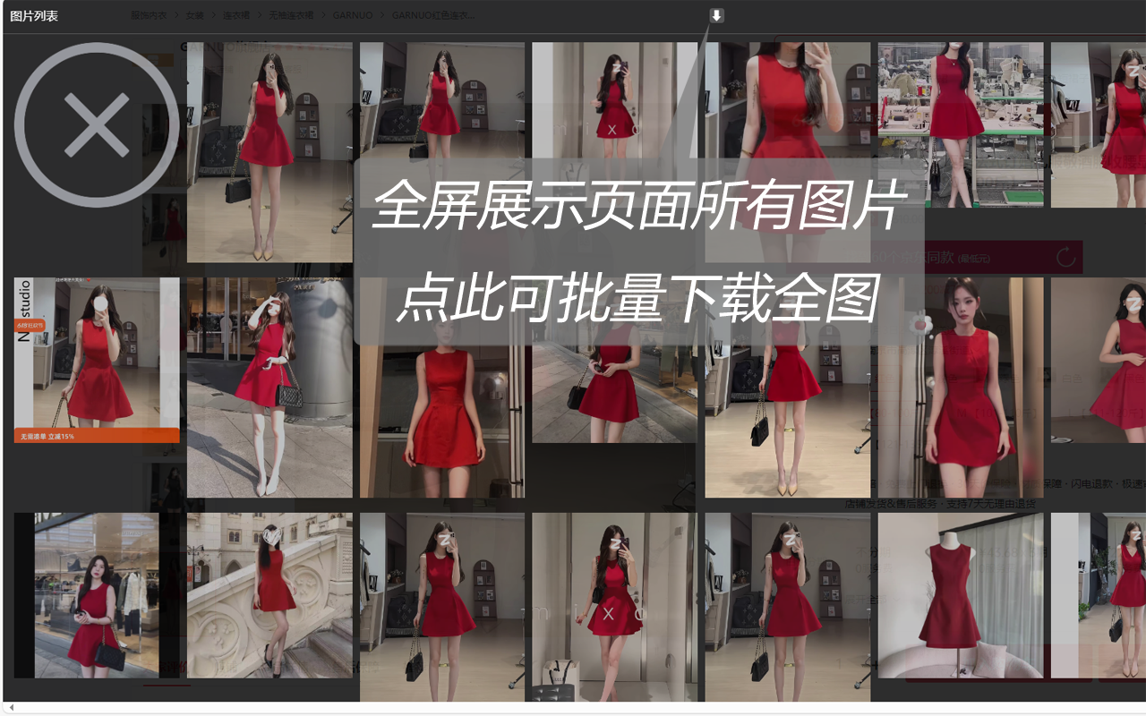 网页图片放大助手 - 截图 2