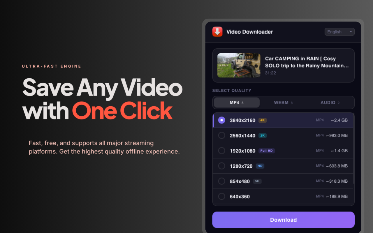 YouTube Video Downloader - 截图 1