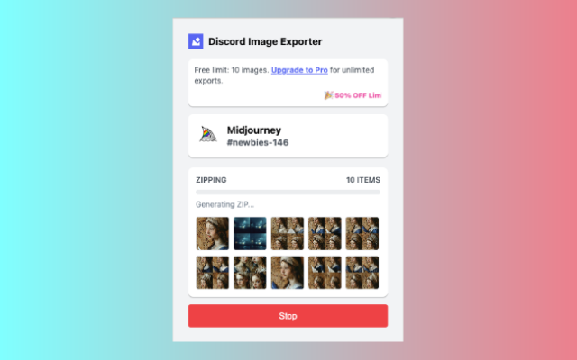Discord Image Downloader - 截图 1