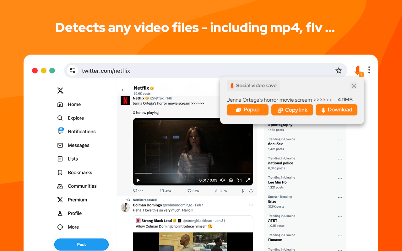 Video Downloader Social - 截图 1