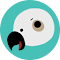 ParrotTalks抄笔记