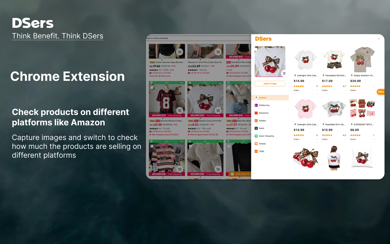 DSers-Dropshipping+AliExpress Importer - 截图 2
