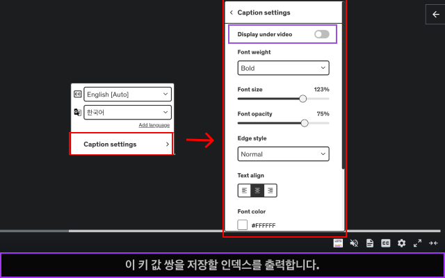 Video CC translator - 截图 4