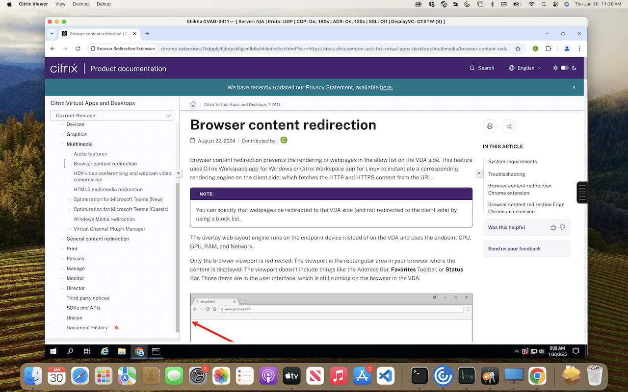 Browser Redirection Extension - 截图 2