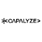 Capalyze:AI 驱动的网页数据采集工具