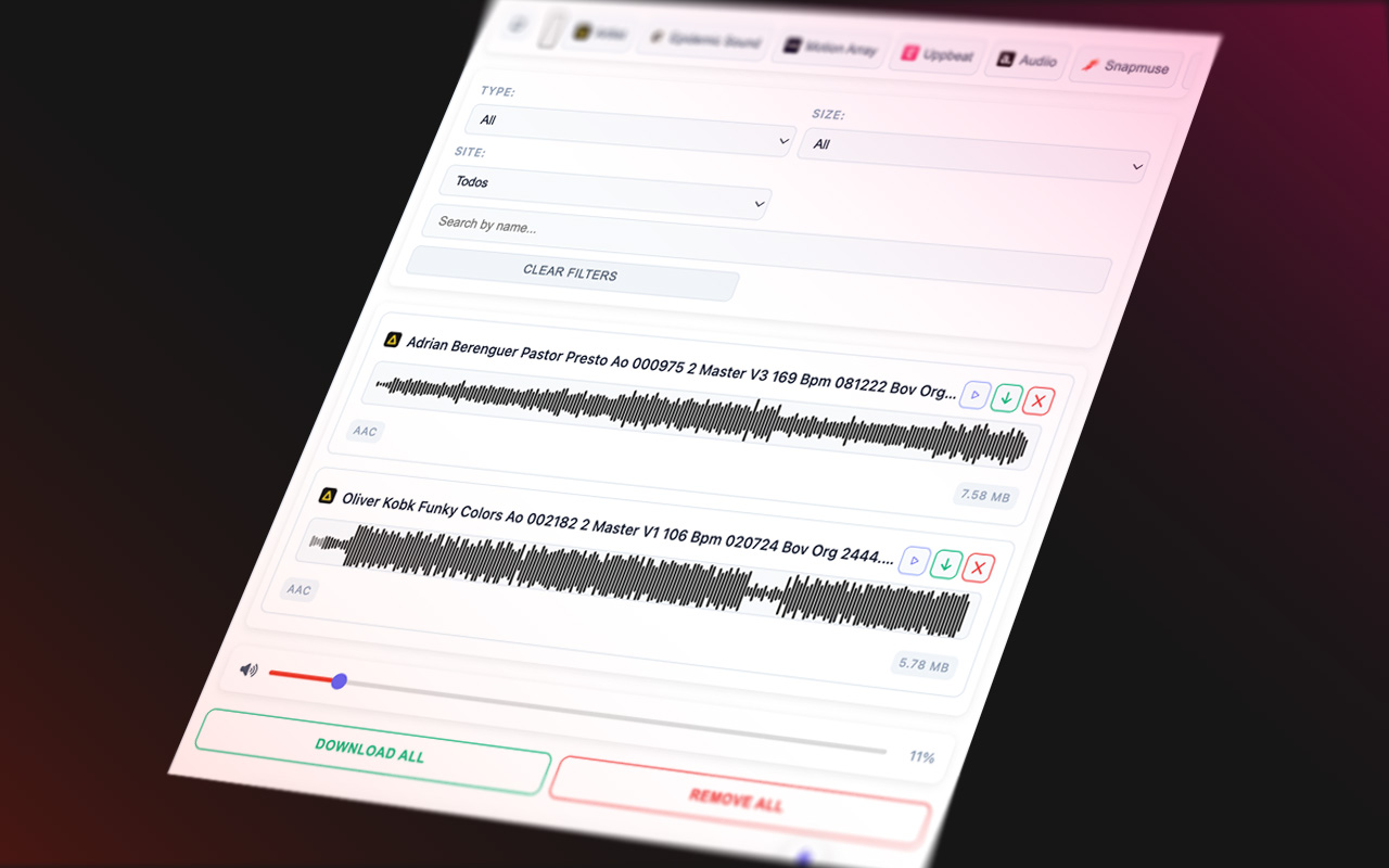 Music and Audio Catcher - 截图 1