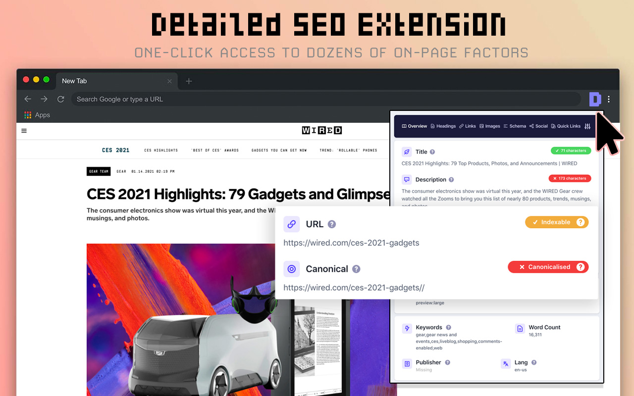 Detailed SEO Extension - 截图 2