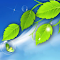 Frutiger Aero Live Wallpaper