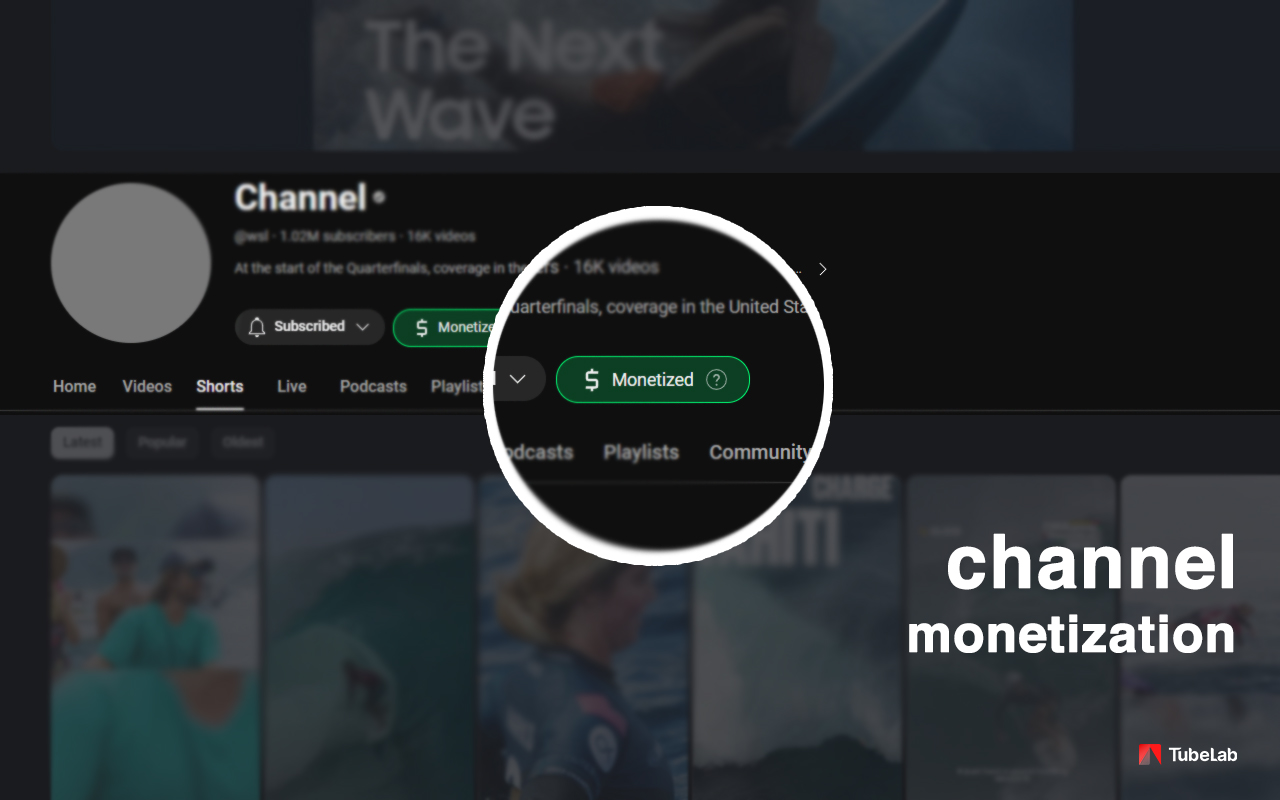 YouTube Monetization & RPM Checker by TubeLab - 截图 4
