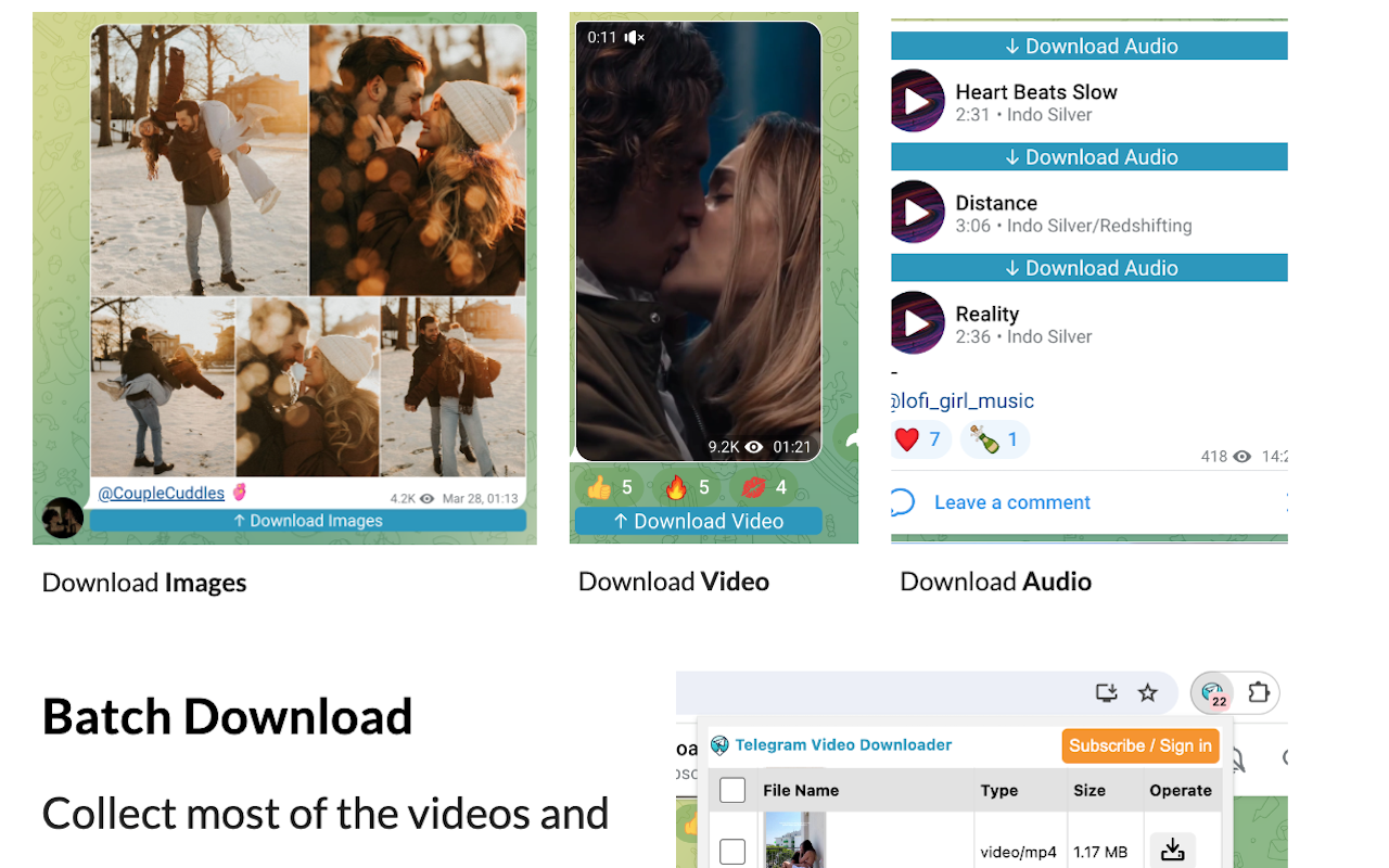 Telegram Video Downloader -Telegram视频图片下载器-TVD - 截图 4