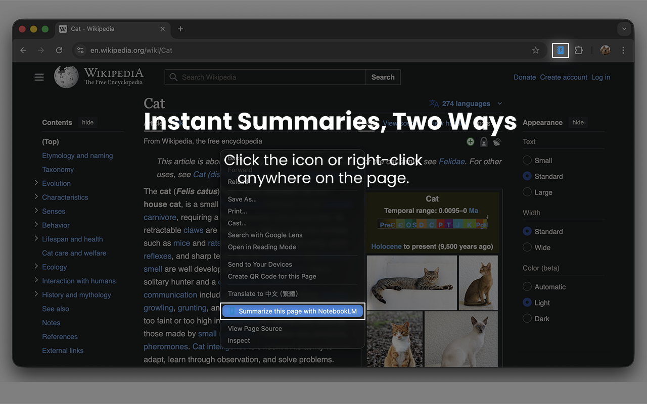 Gemini Notebook 网页摘要(Web TL;DR) - 截图 2