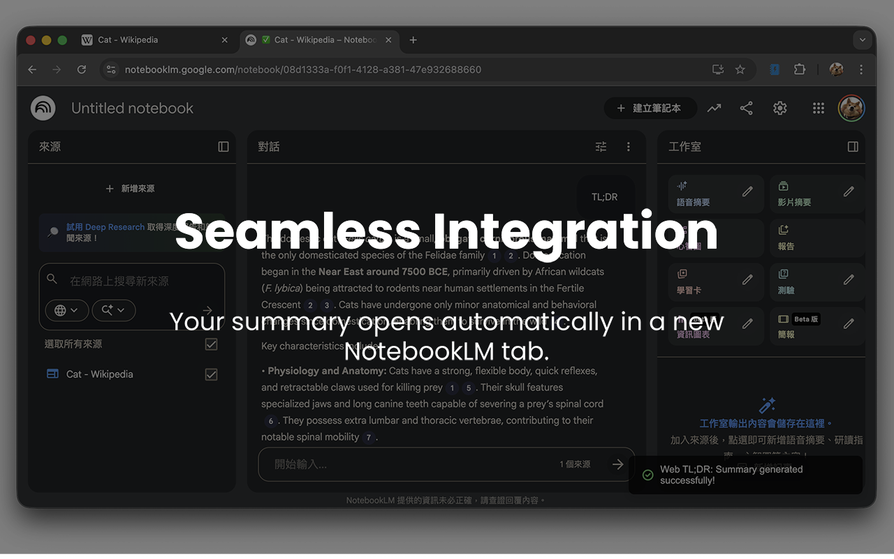 Gemini Notebook 网页摘要(Web TL;DR) - 截图 3