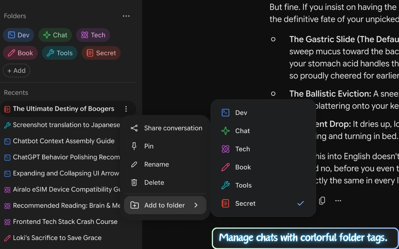 Gemini Chat Organizer - 文件夹与筛选 - 截图 1