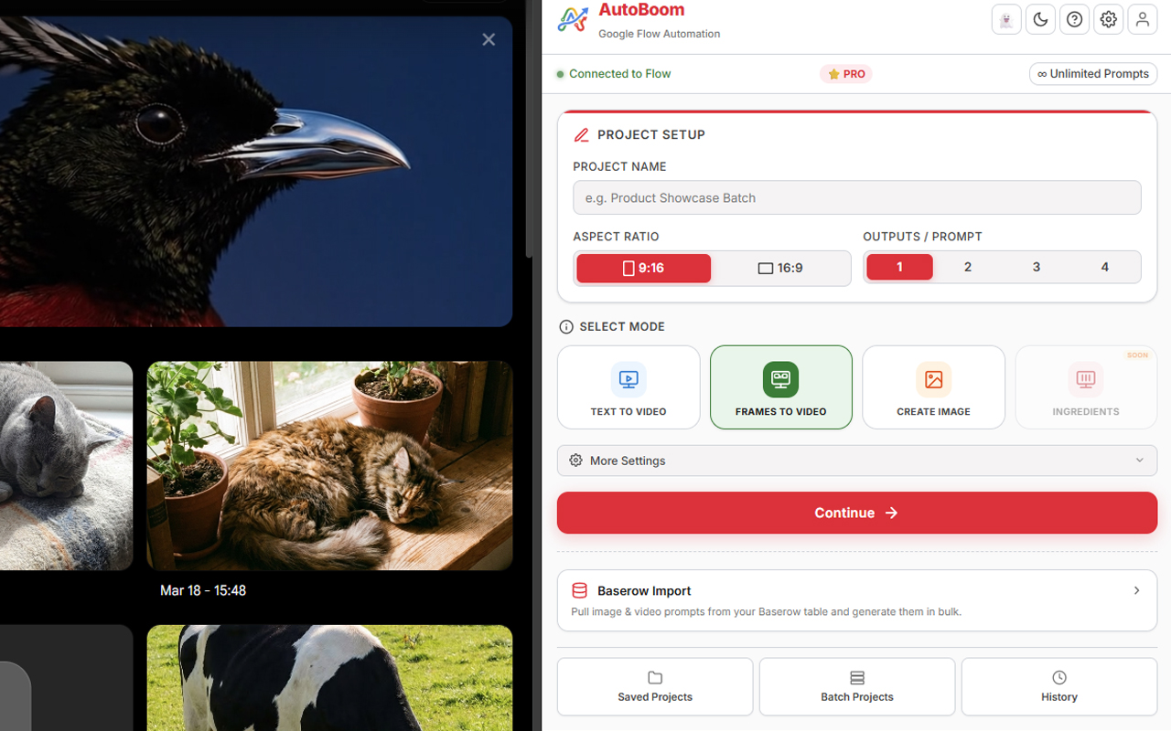 AutoBoom - Google Flow Automation - 截图 3
